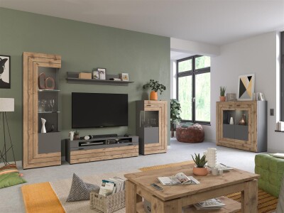 Snap Wohnwandkombination  B/H/T 290x194x40 in grau