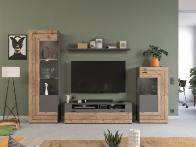 Snap Wohnwandkombination  B/H/T 290x194x40 in grau