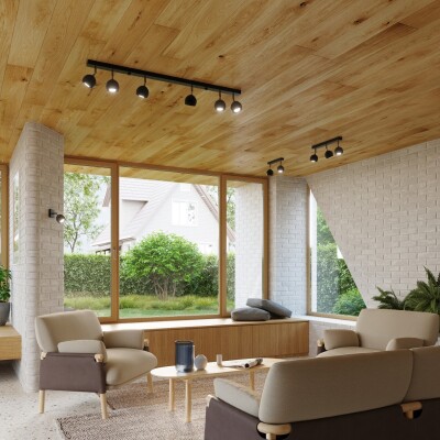 Deckenleuchte LIRX 3 schwarz