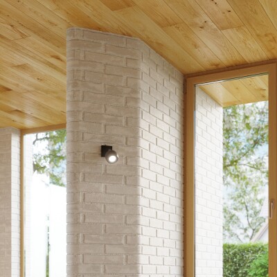 Deckenleuchte LIRX 4 schwarz