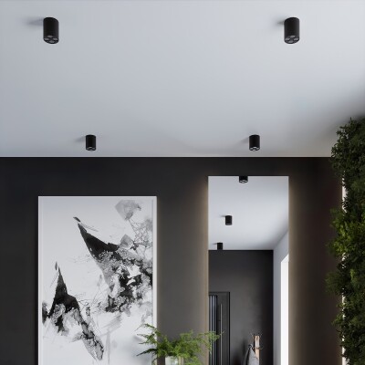 Deckenleuchte RILY  schwarz LED