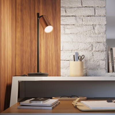 Deckenleuchte LUNY 2 schwarz/kupfer